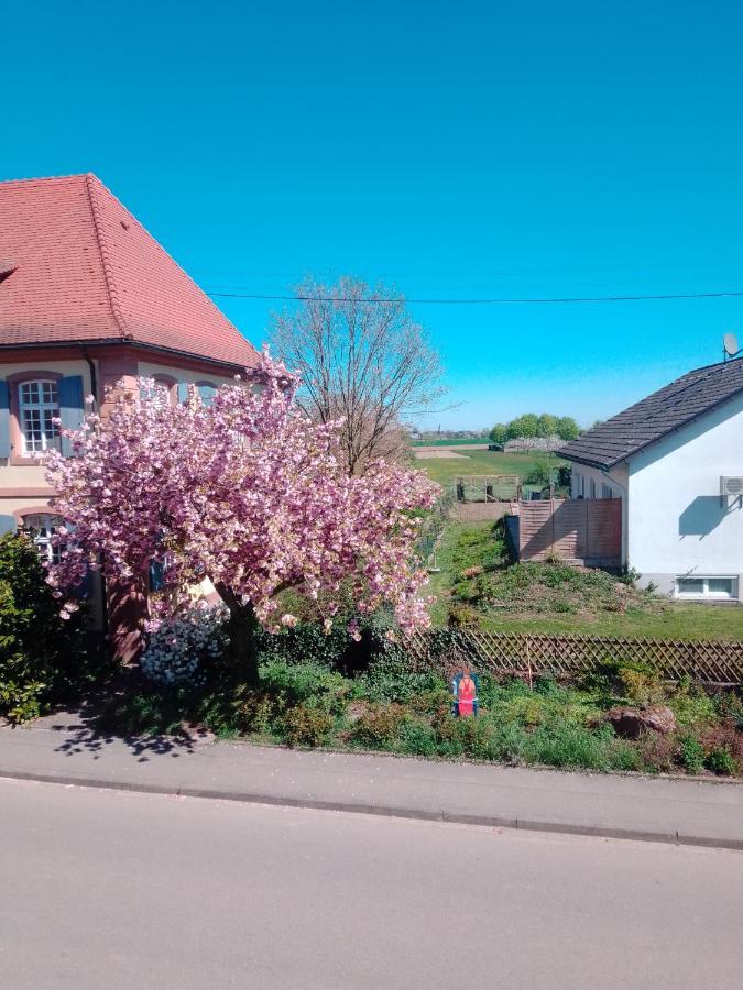Meyerhof Wittenweier Exterior foto